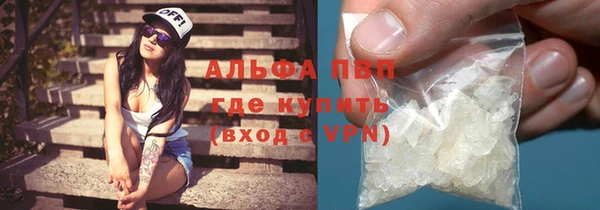 сатива Инта