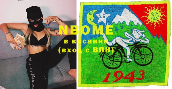 сатива Инта
