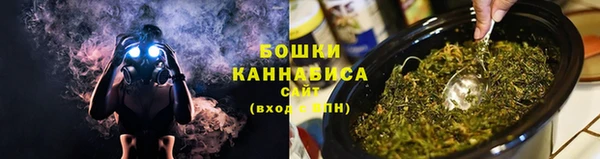 сатива Инта