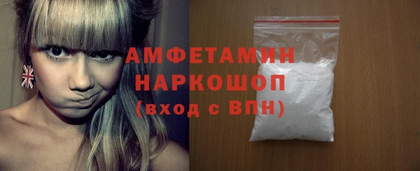 сатива Инта