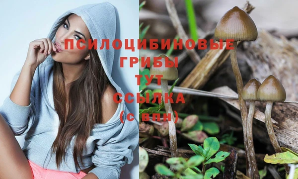 mdma Зерноград
