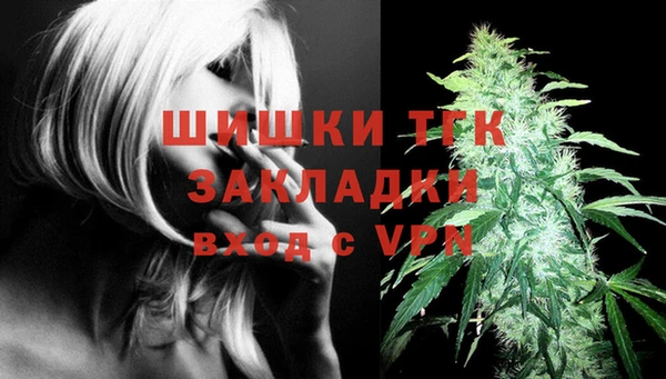 эйфоретик Инсар
