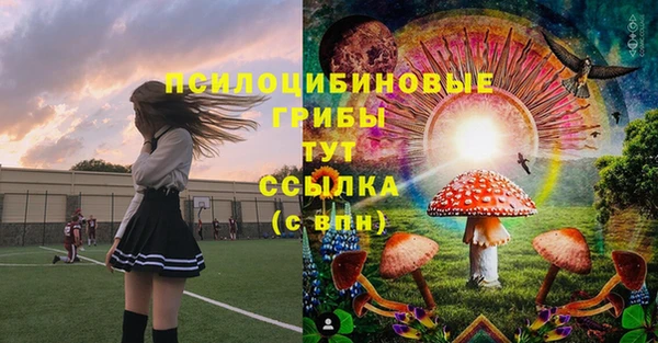 сатива Инта